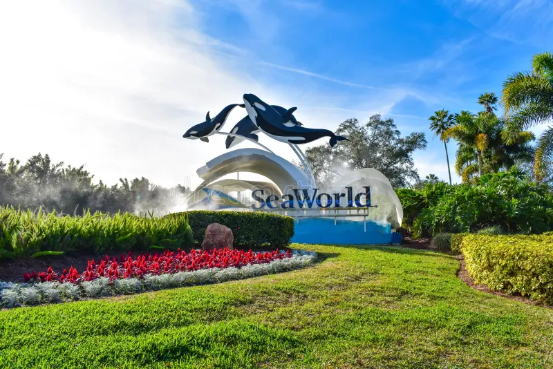 SeaWorld Orlando: Dolphins showcasing their skills at SeaWorld Orlando.